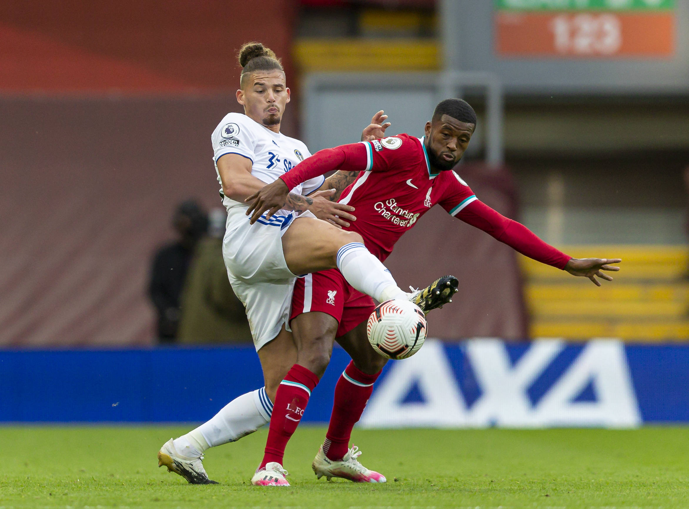 因素也是不 因素也是不